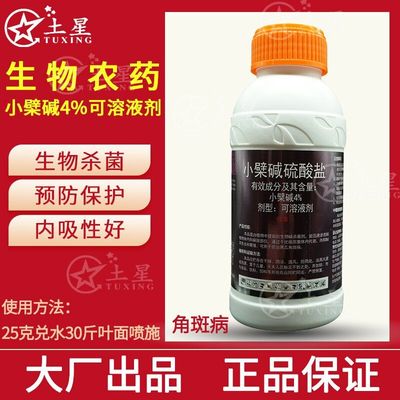 小檗碱硫酸盐4%植物提取生物碱杀菌剂黄瓜角斑病专用杀菌剂赛梦金