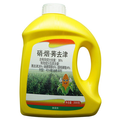 36%硝烟莠2000克玉米田苗后除草剂天宝
