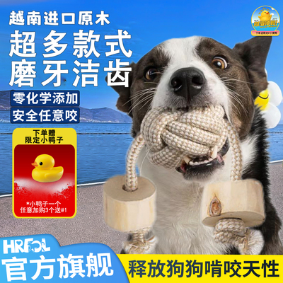 买一送一！抛光打磨更洁齿耐咬