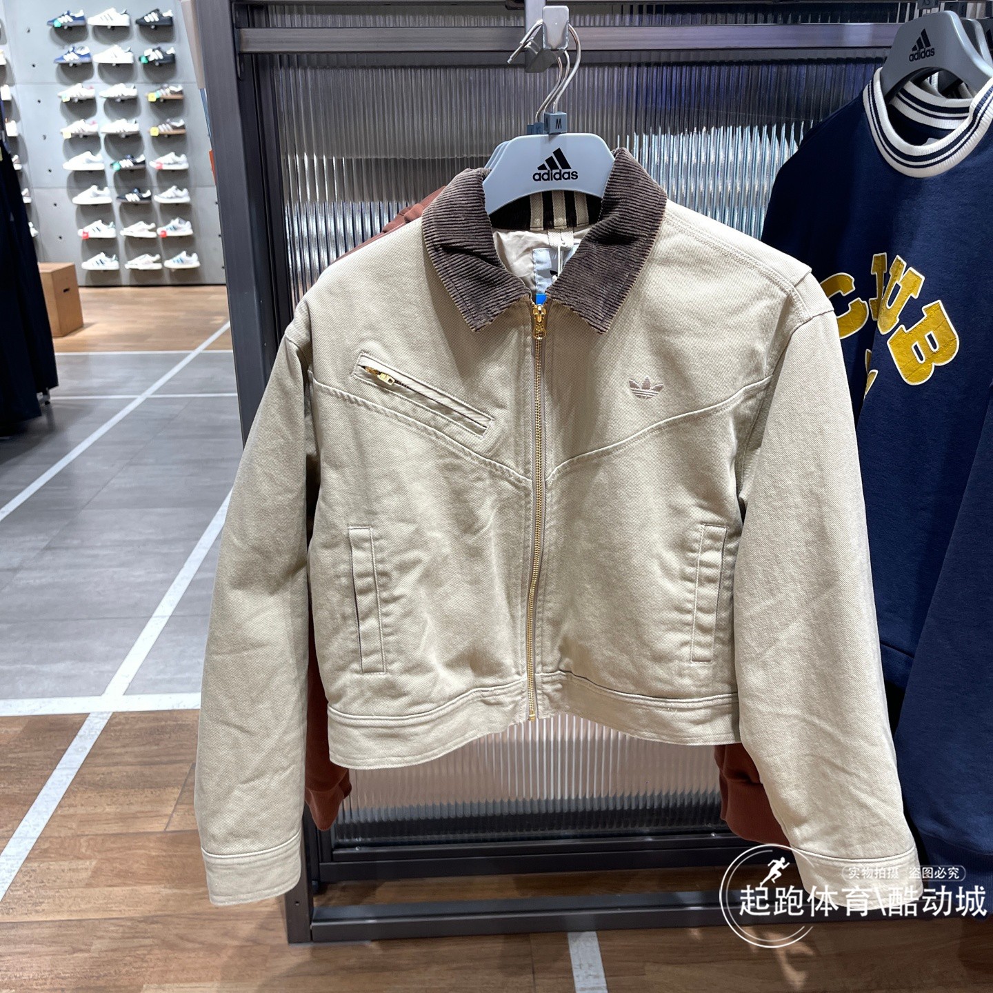 阿迪达斯三叶草女短款运动棉服图片