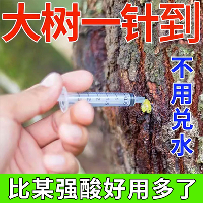 环嗪大树烂根专用一针枯死