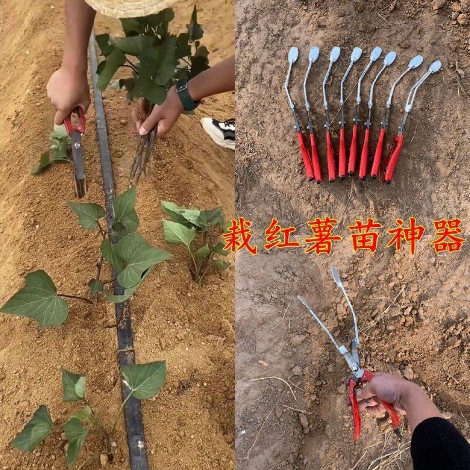 红薯栽苗器栽红薯大葱栽苗b器夹子器栽苗插秧神器栽苗器