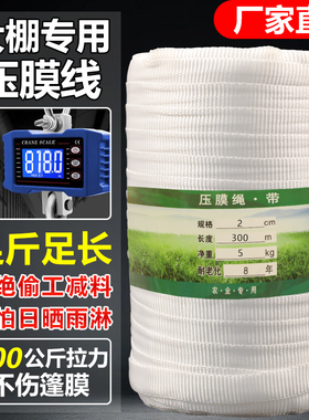 大棚压膜绳温室配件加厚抗老化耐磨压膜线压膜带白色托膜带防风绳