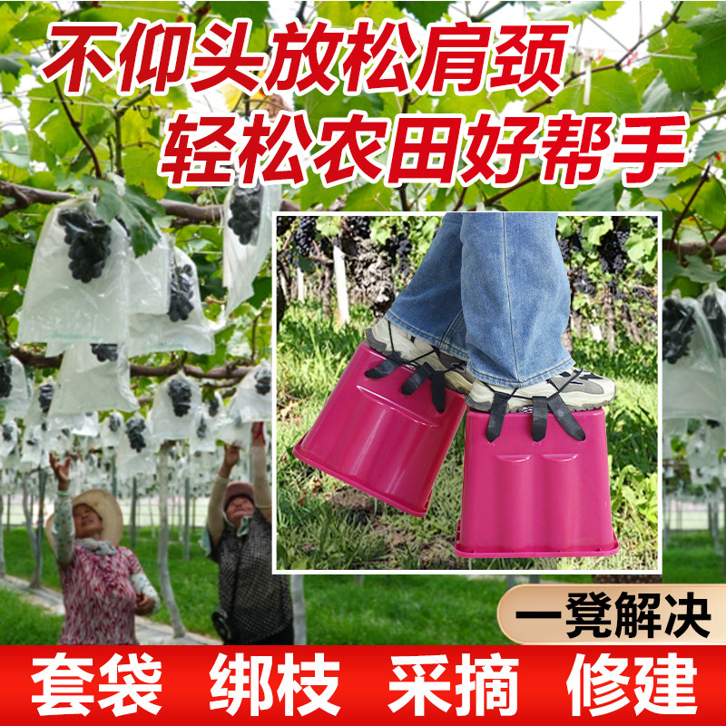 农用大棚增高凳田园增高垫新款采摘绑枝专用增高鞋垫高园艺神器,鲜花速递/花卉仿真/绿植园艺,其它园艺用品,淘宝优惠券,粉丝福利购,淘宝优惠卷