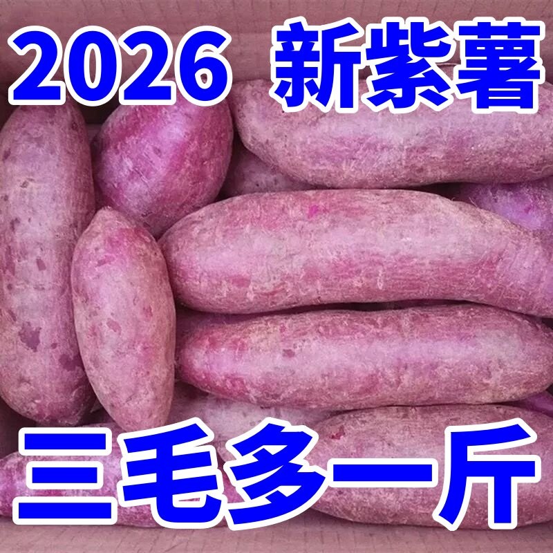 2026紫薯新鲜番薯地瓜农家蜜薯9斤板栗红沙地薯糖心山芋蔬菜包邮