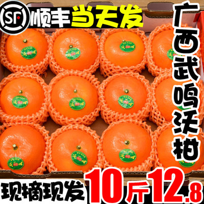 沃柑正宗云南高原新鲜桔子水果10斤橘子当季皇帝蜜柑橘砂糖桔包邮