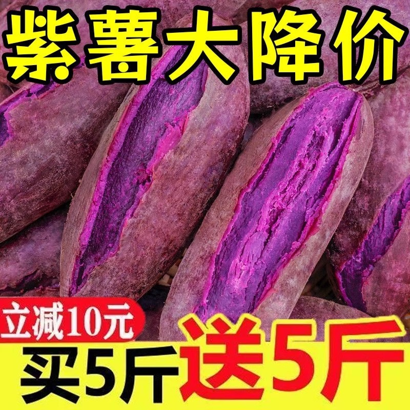 2025紫薯新鲜番薯地瓜农家蜜薯9斤板栗红沙地薯糖心山芋蔬菜包邮
