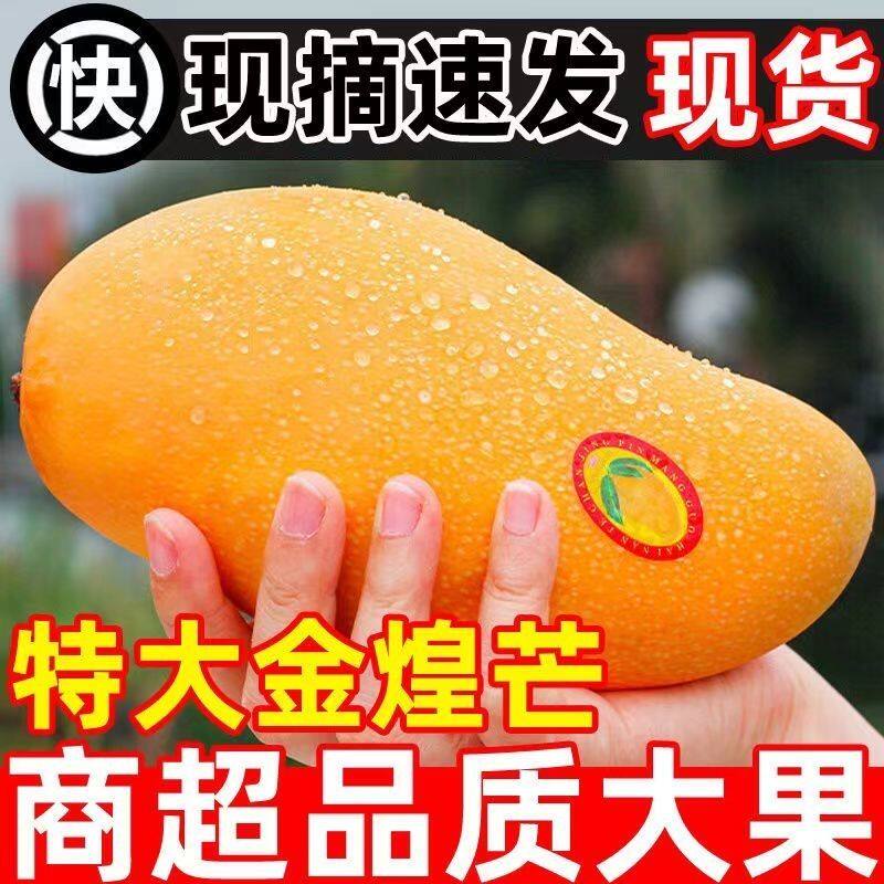海南金煌芒果10斤新鲜水仙芒当季整箱水果特大热带芒果甜心青包邮