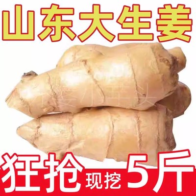 山东大姜老姜2生姜新鲜黄姜土姜现挖子姜嫩姜鲜姜嫩姜牙9斤包邮