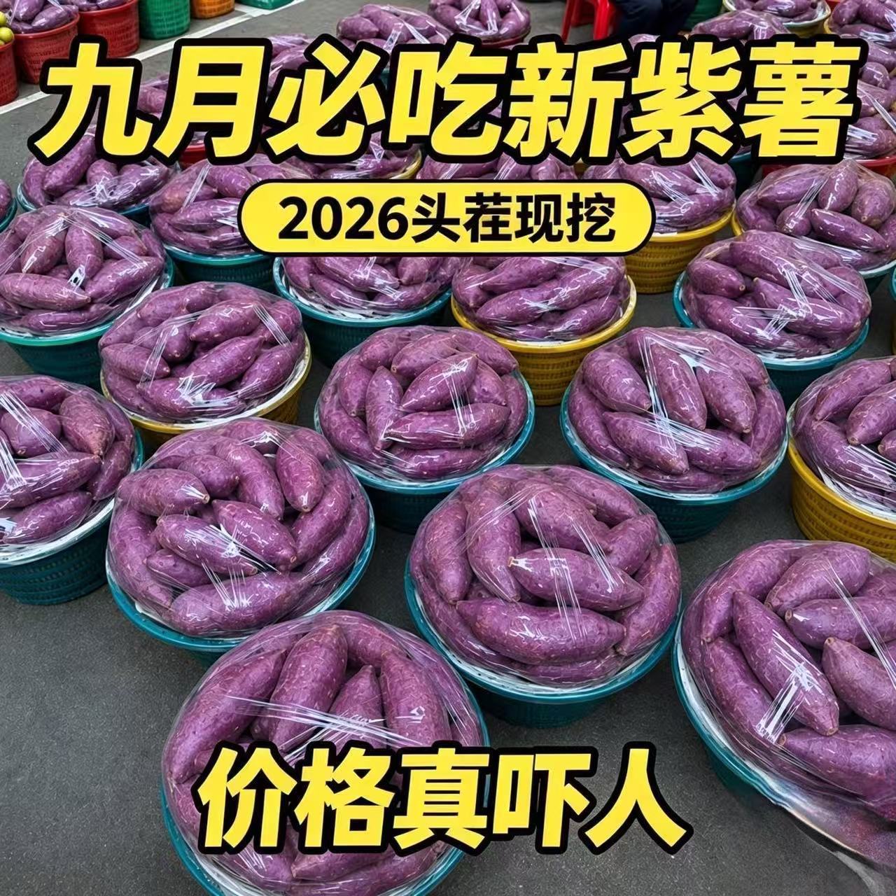 2026紫薯新鲜番薯地瓜农家蜜薯9斤板栗红沙地薯糖心山芋蔬菜包邮