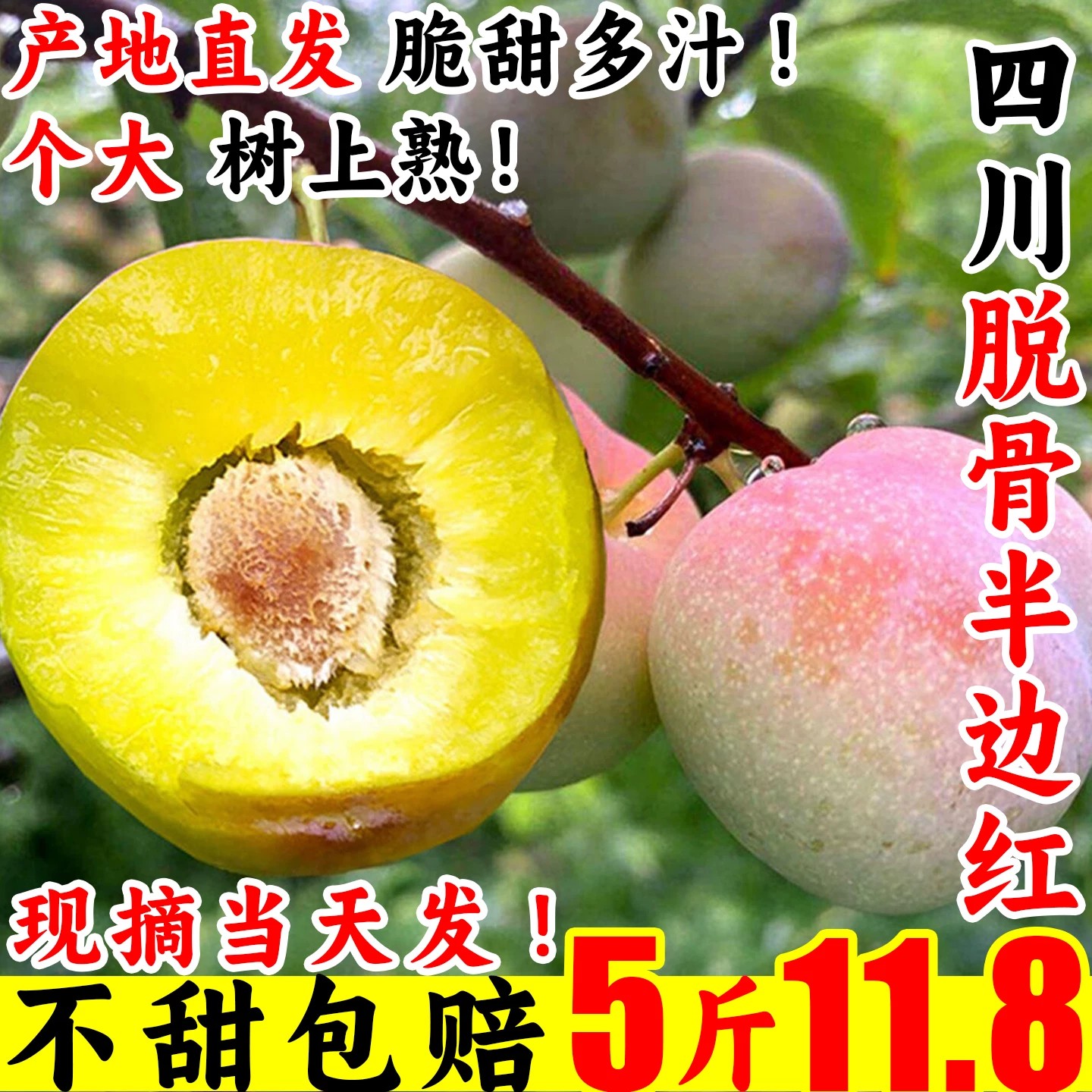 四川李子半边红新鲜水果应当季整箱脱骨时令蜂脆糖甜特产正宗三5A