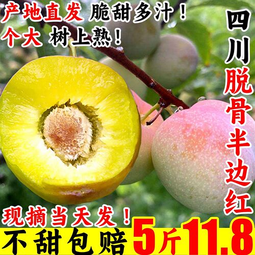 四川李子半边红新鲜水果应当季整箱脱骨时令蜂脆糖甜特产正宗三5A