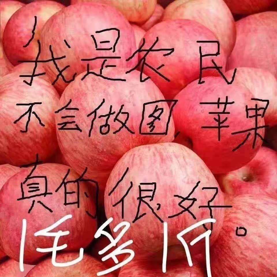 正宗陕西洛川红富士苹果新鲜水果冰糖心脆甜精选大果现摘现发9斤