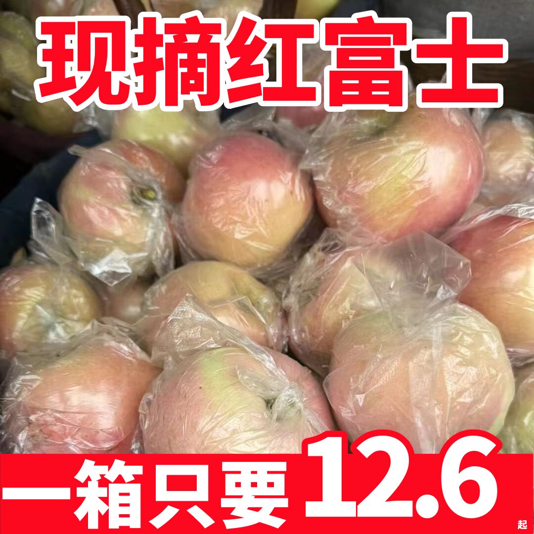 正宗陕西洛川红富士苹果新鲜水果冰糖心脆甜精选大果现摘现发9斤