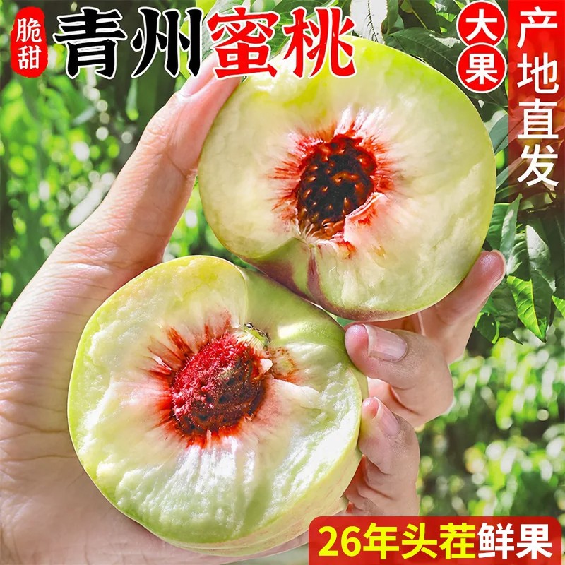 正宗青州蜜桃山东水蜜桃新鲜时令水果当季现摘整箱小脆桃送货上门