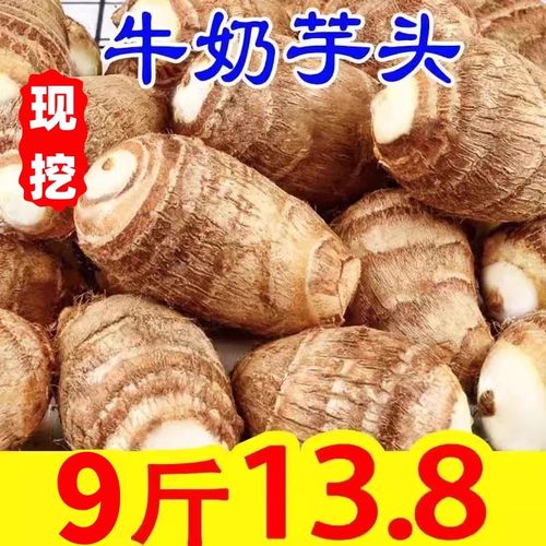 2026新牛奶小芋头新鲜农家粉糯毛芋头香芋艿净重9斤芋圆5批发