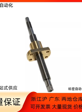 微型滑动丝杠MSSR MSSRN801 802 812 824-40 50 60 80 100 120