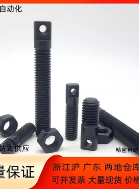 拉伸弹簧支柱AIPO SAIPO3 4 5 6 8-15 20 25 30 35 40 50 不锈钢