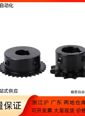 08A链轮SP40B9 10 11 12 13 14-N-12 14 15 16 17 18 20 22 24