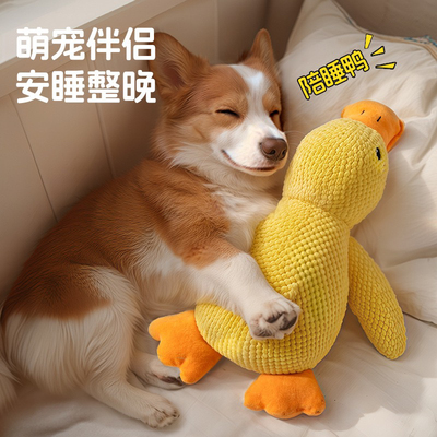 狗狗玩具耐咬磨牙发声解闷毛绒陪睡鸭小中型犬宠物发声玩具小黄鸭