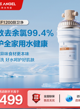 安吉尔净水器家用厨房洗漱间自来水过滤器J3311-ACF1200厨卫净