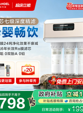 政府补贴安吉尔净水器家用直饮RO反渗透厨房自来水过滤器饮水机V6