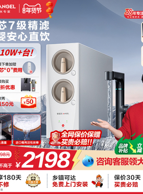 政府补贴安吉尔净水器家用直饮RO反渗透过滤净水机玉龙Pro1000G