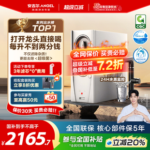 政府补贴安吉尔净水器家用直饮厨房自来水过滤净水机玉龙Pro1200G