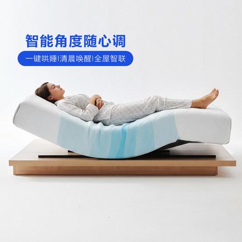 诗享迦记忆棉蓝海床垫电动智能AI多功能哄睡按摩升降助起弹簧床垫