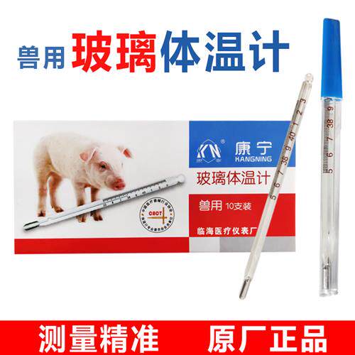 兽用体温度计 猪用玻璃水银体温度计肛门体温表猪牛羊用体温表