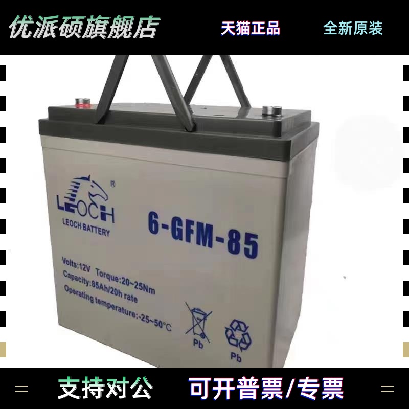 LEOCH理士蓄电池 6-GFM-85中力合力诺力叉车 12V85AH电动叉车电池