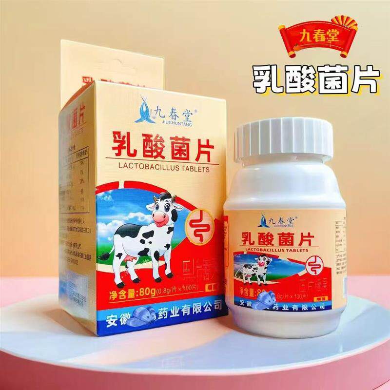 乳酸菌片80g大容量100片盒装正品乳酸菌片健康复合乳酸菌T