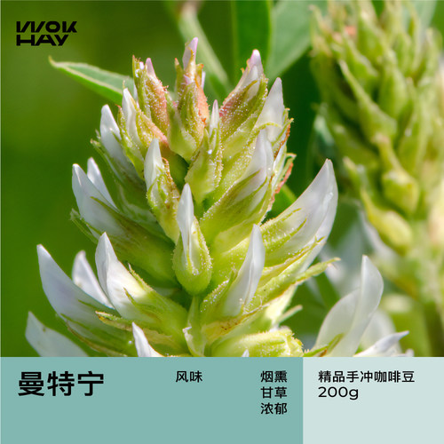 印尼苏门答腊曼特宁手冲