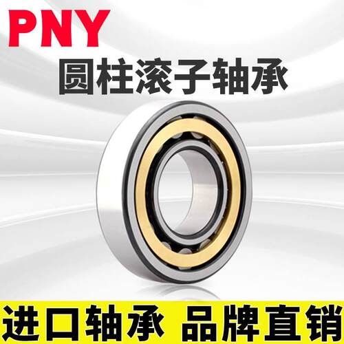 PNY N313 EM 圆柱滚子轴承 2313H 内径65mm外径140mm 厚33m进口定