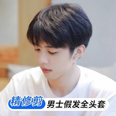 纤韵佳人假发男韩版帅气男生日常微分碎盖男士黑棕色短直发全头套