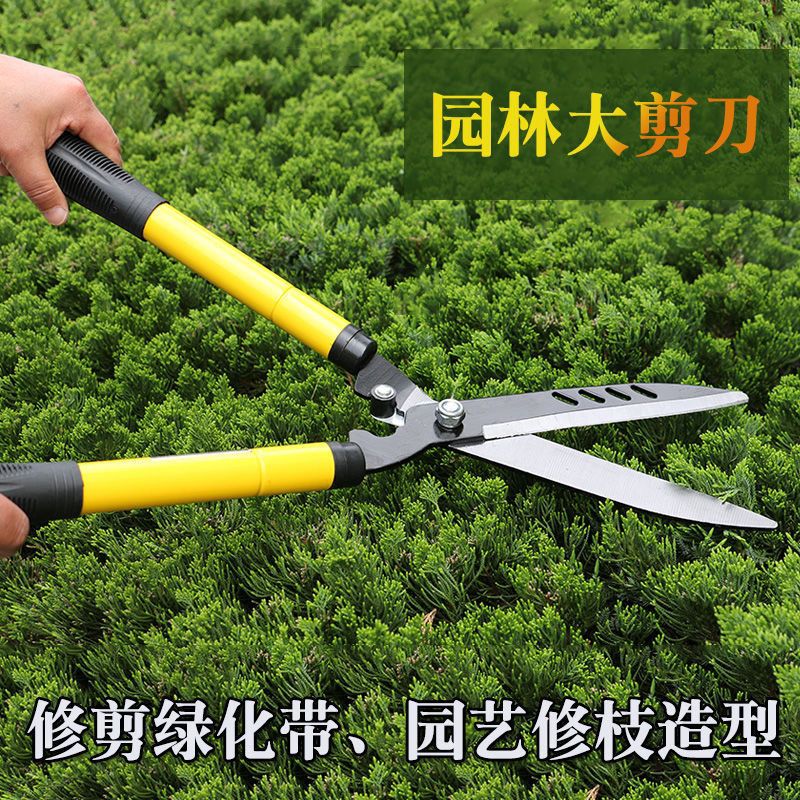 进口园艺剪刀绿篱剪草坪剪园林修枝剪绿化粗枝伸缩剪大力剪草坪剪