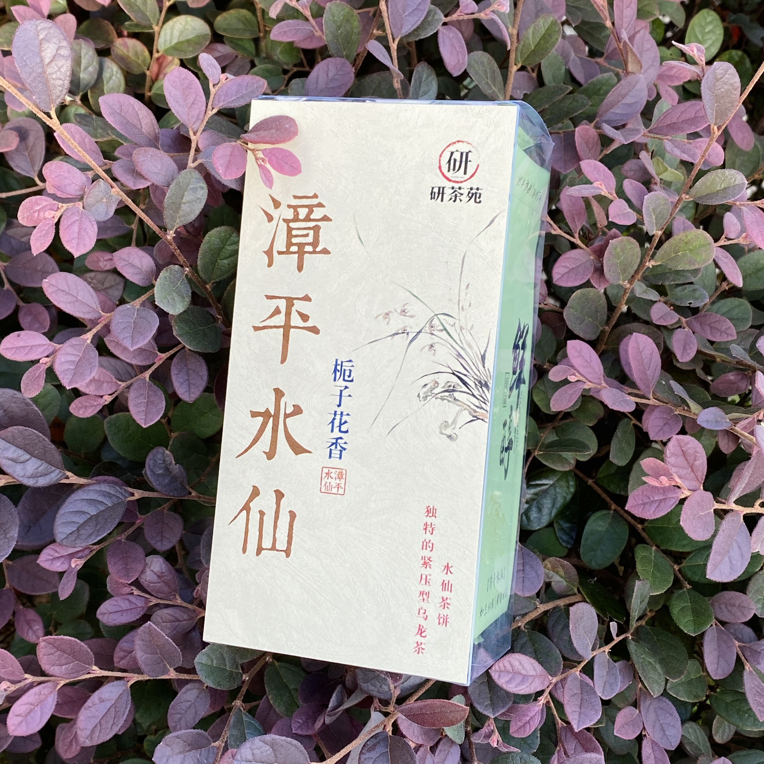 【栀子花香】滋味甘甜 香气馥郁 回甘持久 复合型香气漳平水仙茶