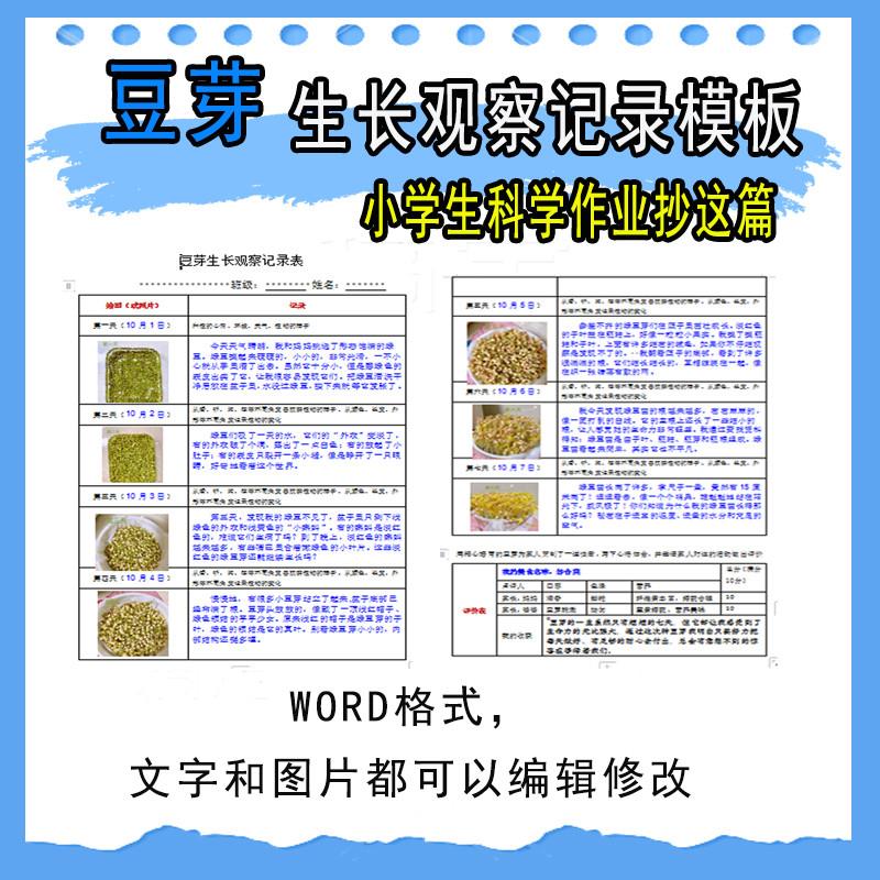 豆芽观察表电子手抄报word版小报大蒜观察植物生长成长日记竖版