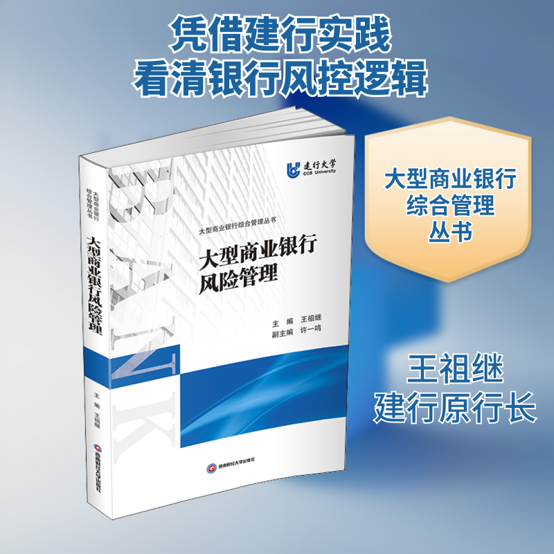 大型商业银行风险管理 王祖继 编 西南财经大学出版社