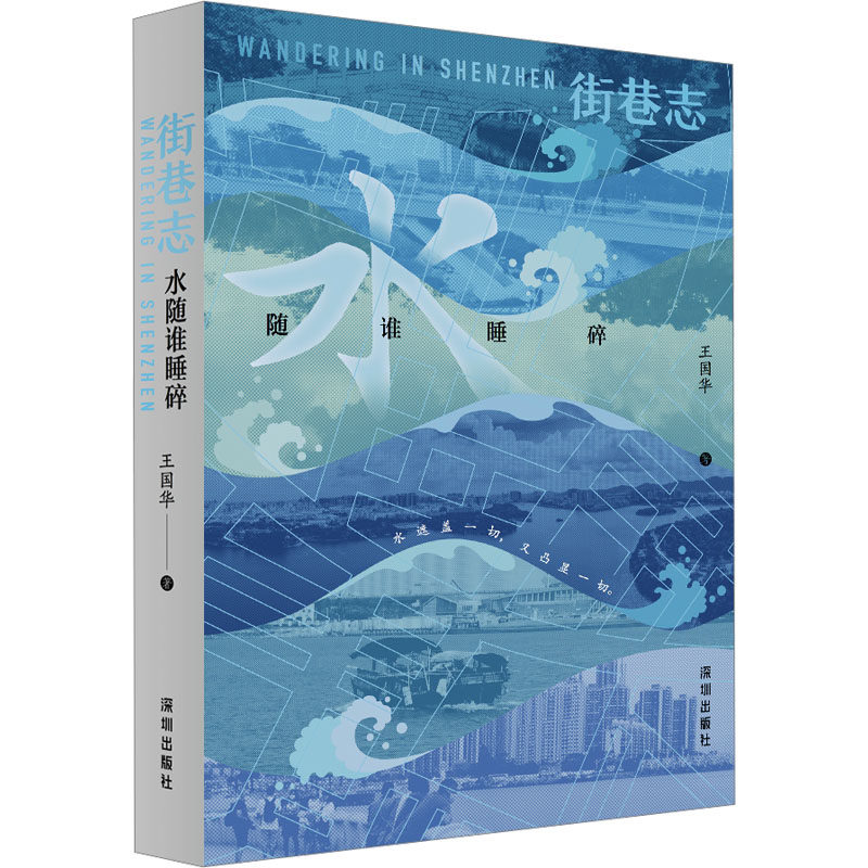 街巷志 水随谁睡碎 王国华 著 海天出版社