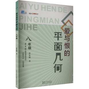 爱与恨的平面几何 八年级 黄东坡 著 湖北人民出版社