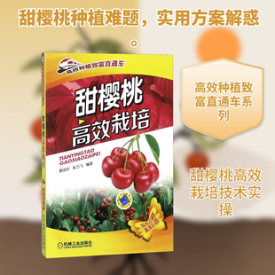 甜樱桃高效栽培 夏国京,张力飞 编 机械工业出版社