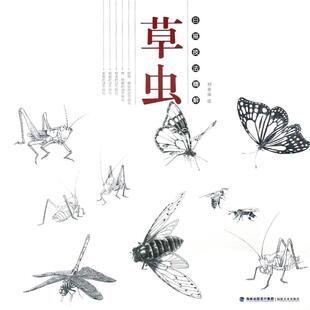 草虫/白描技法精解 绘画:刘金保 著作 福建美术出版社