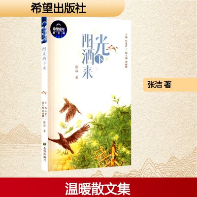阳光洒下来 张洁 著 著 希望出版社