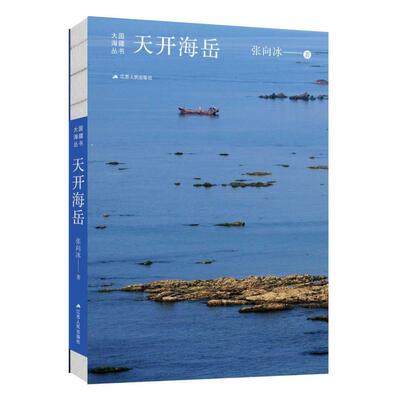 天开海岳 张向冰 著 江苏人民出版社