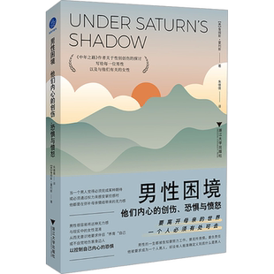 男性困境 他们内心的创伤、恐惧与愤怒 (美)詹姆斯·霍利斯 著 朱倩倩 译 浙江大学出版社