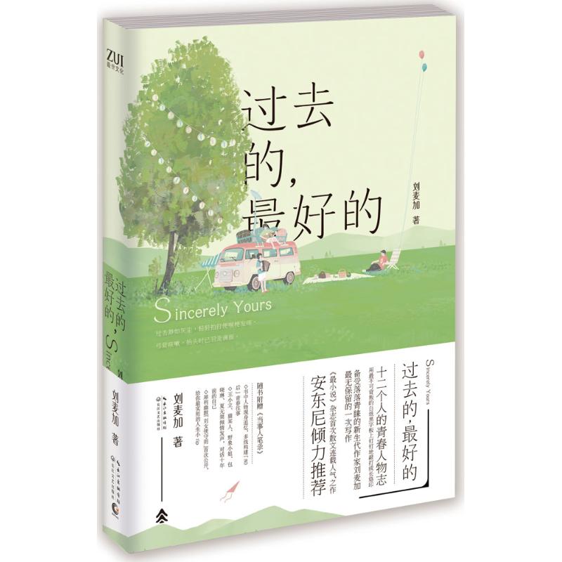 过去的,最好的 刘麦加 著 著作 长江文艺出版社