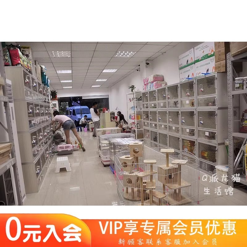 宁波地区小宠寄养 龙猫寄养服务