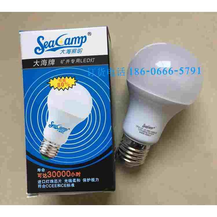 大海牌LED节能灯/球泡 13W 127V 6400K/螺口E27 寿命长/进口灯珠