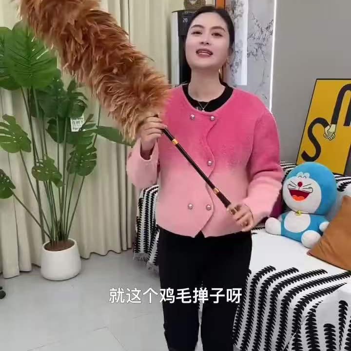 汽车鸡毛掸子老式除尘扫